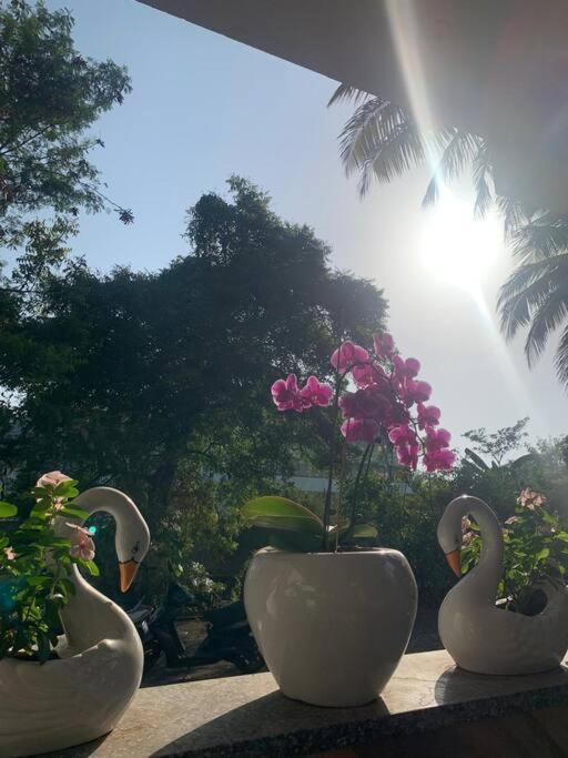 Almond Villa Find Your Paradise آليباغ المظهر الخارجي الصورة